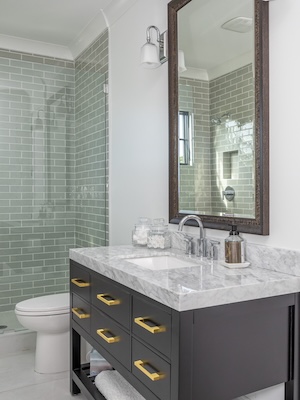 Basement Remodeling - Guest Bath